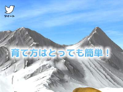 かわいい 無料 育成 ゲーム 298852