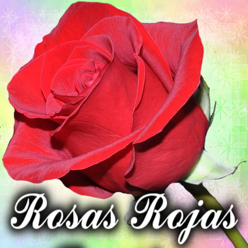 Rosas rojas imagenes bonitas by CoolApps77 - (Android Apps) — AppAgg
