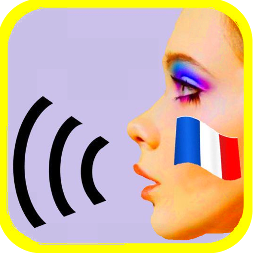 French Grammar Speaking D logo