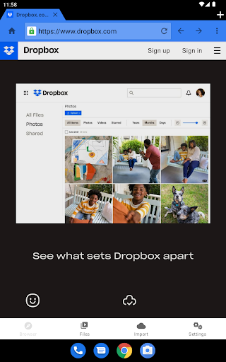 OfflineFiles DManager Browser