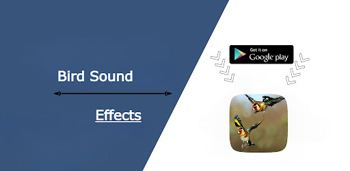 Android application Bird Sound Effects screenshort