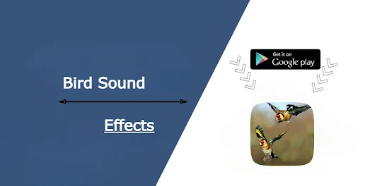 Bird Sound Effects