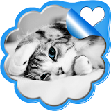 Sweet Kittens Live Wallpaper icon