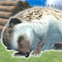 Herunterladen Hedgehog Friends Installieren Sie Neueste APK Downloader