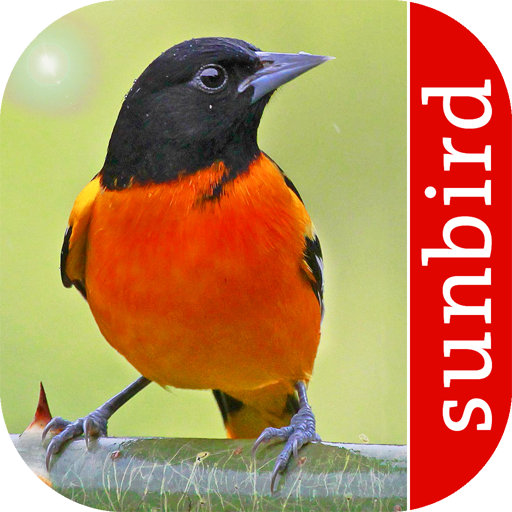 Bird Id North America विंडोज़ पर डाउनलोड करें