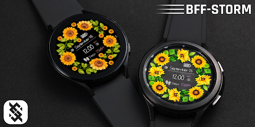 BFF24-Blackboard Art Sunflower screenshot 13