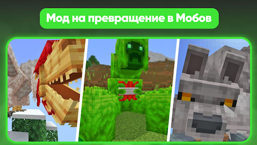 Предварительный просмотр приложения