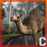 Camel Hump Simulator icon