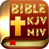 Holy Bible (KJV, NIV) icon