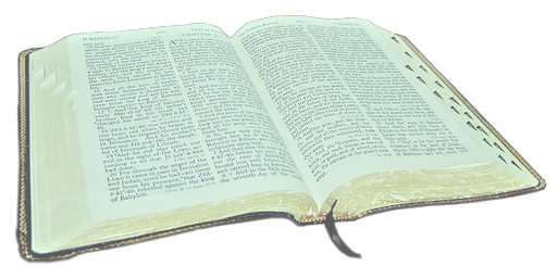 Bible Quiz Screenshot 1 - AppWisp.com