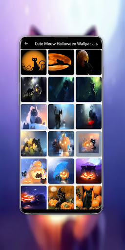 Android application Halloween Cats Wallpapers screenshort