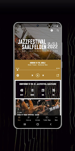 Jazzfestival Saalfelden Screen 2