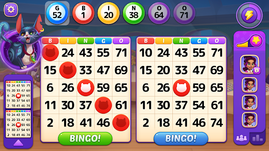 Bingo Haven Dev