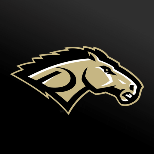 Davenport High School Broncos 6.16.11 Icon