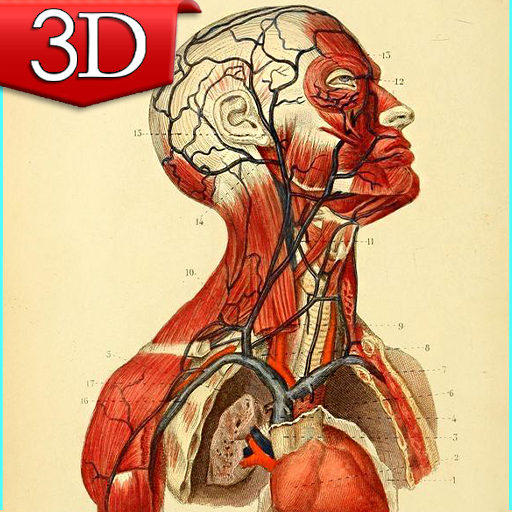 3D Anatomy Atlas Download on Windows