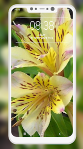 Captura de Pantalla 9 Lily Wallpaper android
