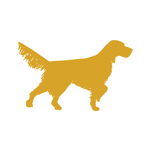 Solid Point Wealth Advisors logo