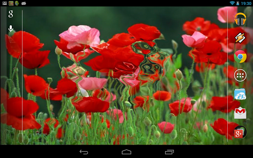 Download Red Poppies 3D Wallpaper Free for Android - Red Poppies 3D  Wallpaper APK Download 