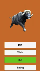 Buffalo Animal Animations Game