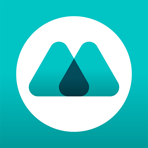 LBM Fleet logo