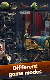 Hidden Objects: Find items