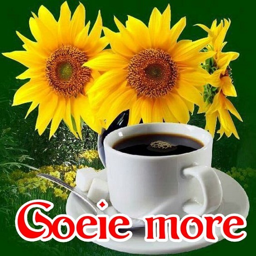 Goeie môre Beelde Screen 2