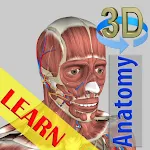 Cover Image of Скачать 3D кости и органы (анатомия)  APK