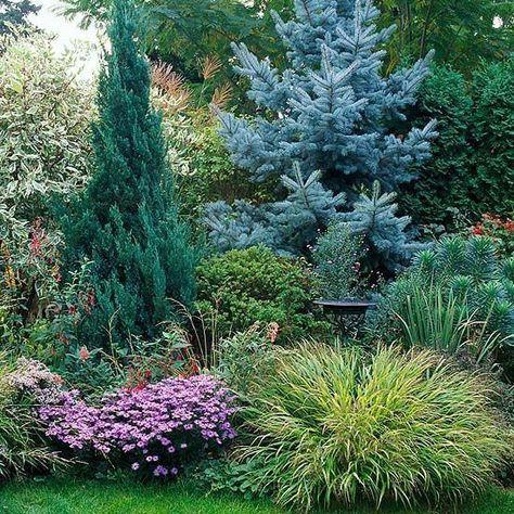 Screenshot of Garden Landscape