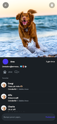 PetHouseTR Screen 2