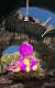 screenshot of My DragonX: 2nd Generation