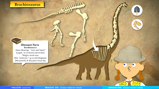 Dinosaur Fossils For Kids