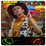 Call From Woody Prank icon