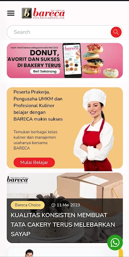 BARECA Screen 2