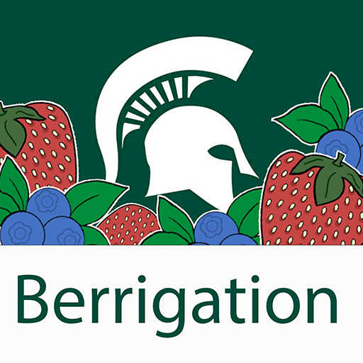 Berrigation ดาวน์โหลดบน Windows