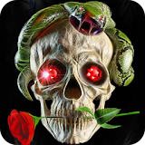 Skull, live wallpaper. icon