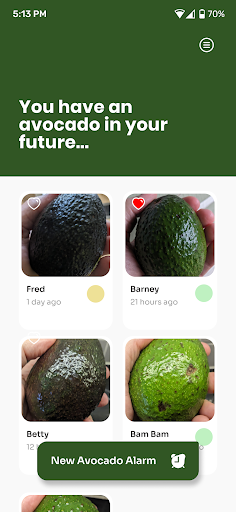 Avocado Alarm Screen 2