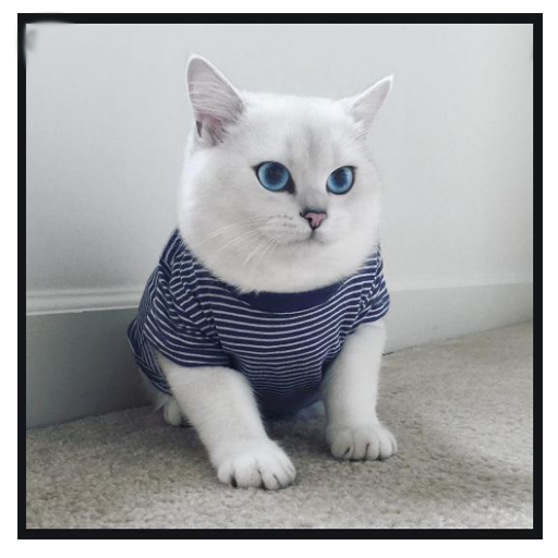 Beautiful Cats Wallpapers logo