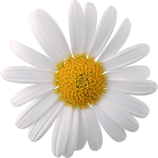 ¿Me quiere? logo