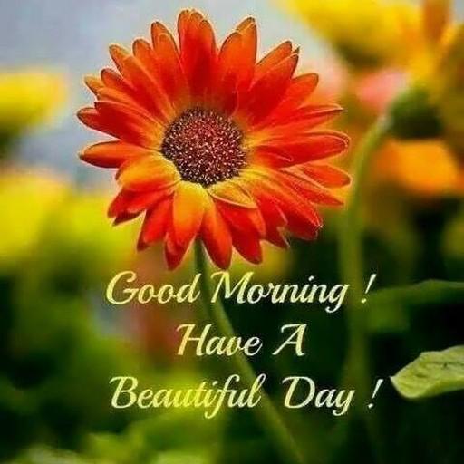 Good Morning Images