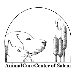 Icon image Animal Care Center of Salem