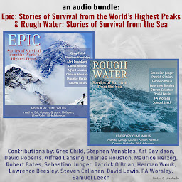 Icon image An Audio Bundle: Epic & Rough Water