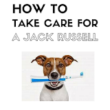 How to Care for a Jack Russell icon