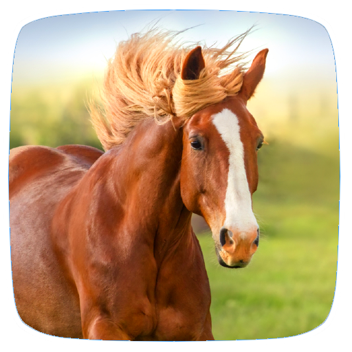 Horse Sounds logo