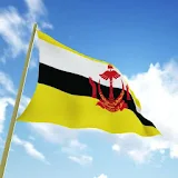 Flag of Brunei icon