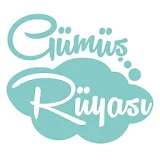 gumusruyasi.com icon
