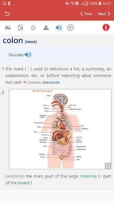 American Learner DictionaryProのおすすめ画像3