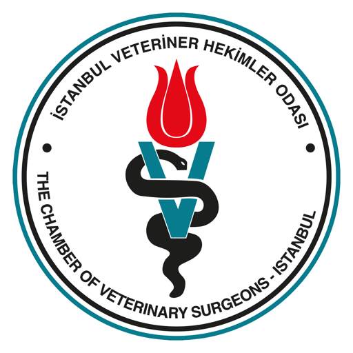 İstanbul VHO logo