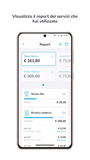 A2A e-Fleet Screen 3