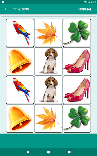 Brain game. Picture Match.