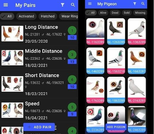 Pigeon Loft Manager Screen 2